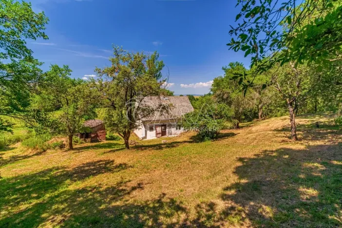 Prodej rodinného domu, Podbořany - Mory, 114 m2