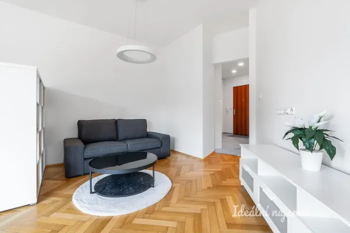 Pronájem bytu 1+kk, Praha - Podolí, Na dolinách, 39 m2