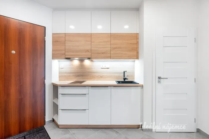 Pronájem bytu 1+kk, Praha - Podolí, Na dolinách, 39 m2
