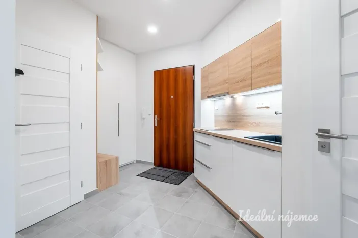 Pronájem bytu 1+kk, Praha - Podolí, Na dolinách, 39 m2