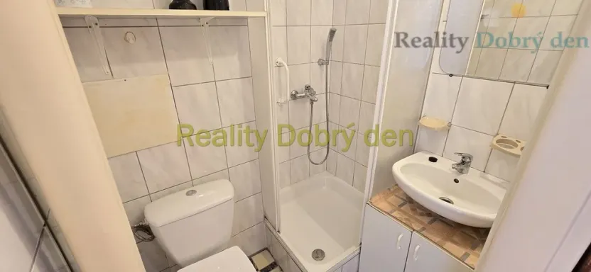 Prodej bytu 1+kk, Dolní Benešov, Osada míru, 21 m2
