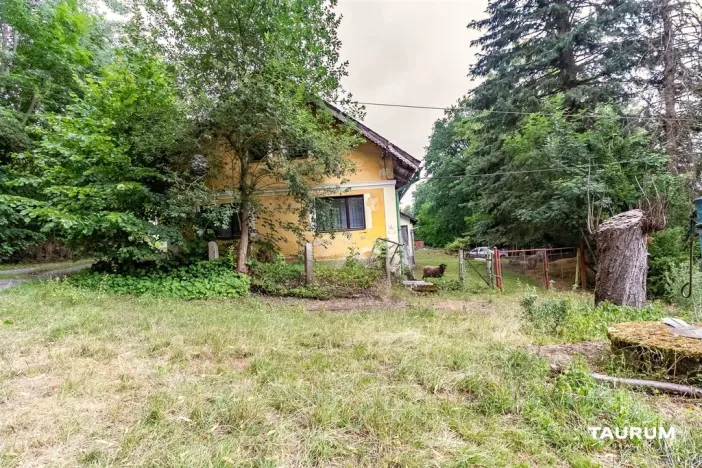 Prodej rodinného domu, Bělá nad Radbuzou - Bystřice, 356 m2