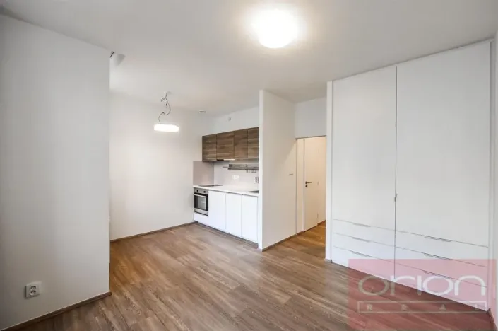 Pronájem bytu 1+kk, Praha - Vinohrady, Lucemburská, 30 m2