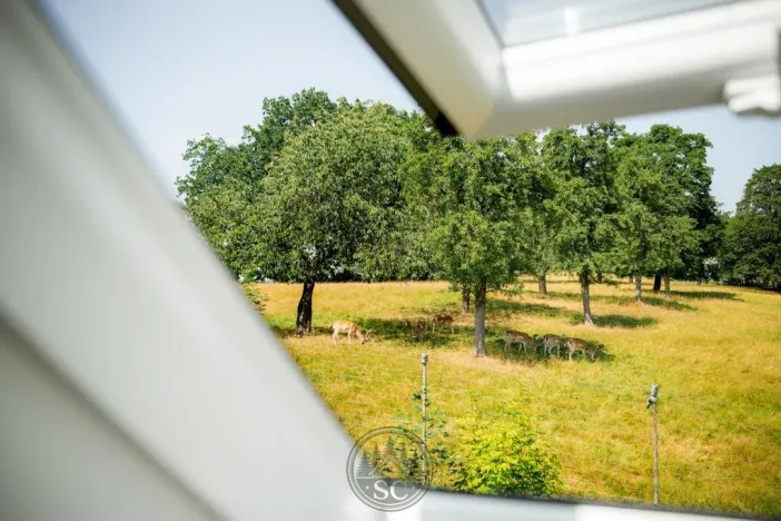 Prodej zemědělské usedlosti, Luby - Opatov, 300 m2