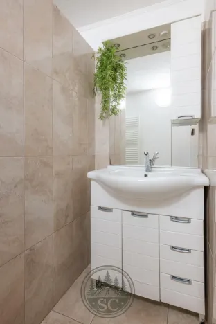 Prodej zemědělské usedlosti, Luby - Opatov, 300 m2