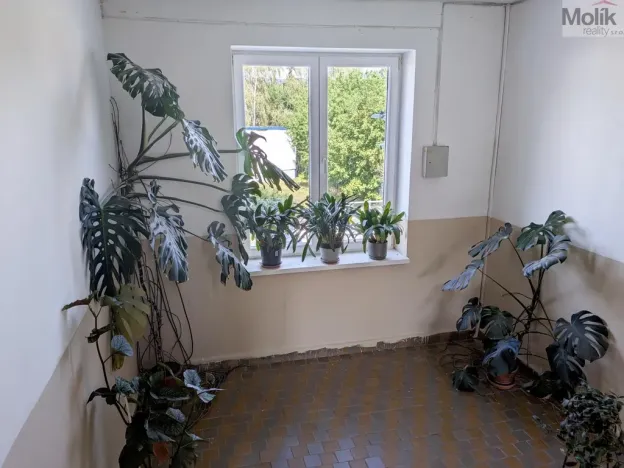 Pronájem bytu 3+1, Košťany, Hornická, 90 m2