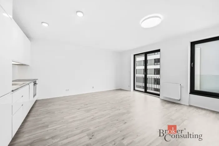 Pronájem bytu 1+kk, Plzeň - Jižní Předměstí, Železná, 37 m2
