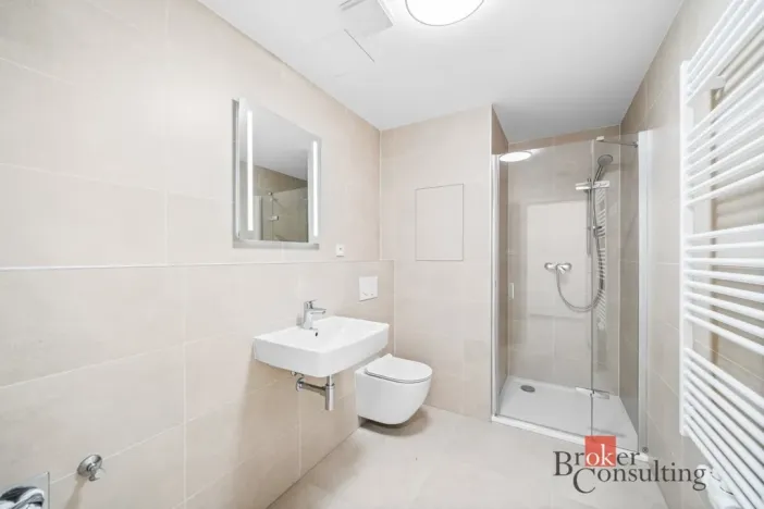 Pronájem bytu 1+kk, Plzeň - Jižní Předměstí, Železná, 37 m2