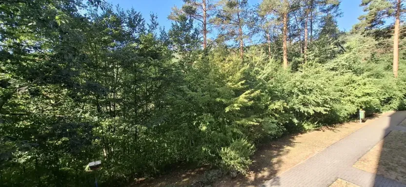 Prodej bytu 3+1, Adamov, Petra Jilemnického, 69 m2