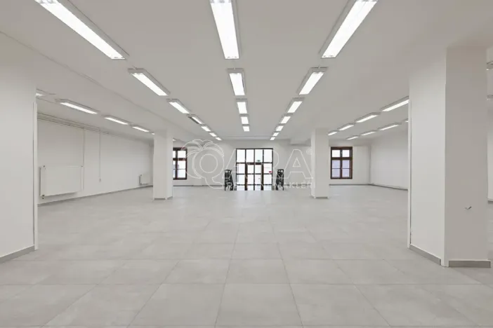 Pronájem obchodního prostoru, Nový Jičín, Masarykovo nám., 470 m2
