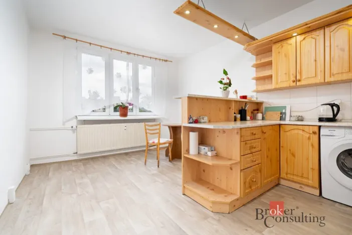 Pronájem bytu 1+1, Stříbro, Mírová, 50 m2