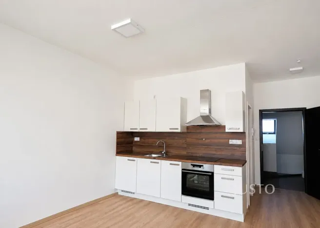 Pronájem bytu 1+kk, Písek, Žižkova třída, 30 m2