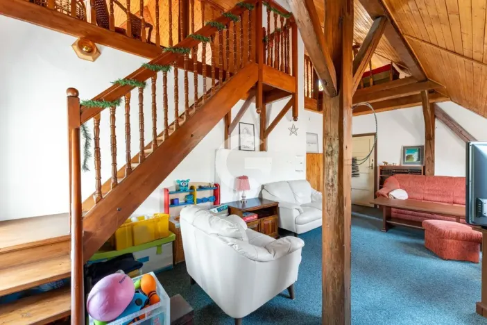 Prodej atypického bytu, Lukoveček, Ohrádky II, 185 m2