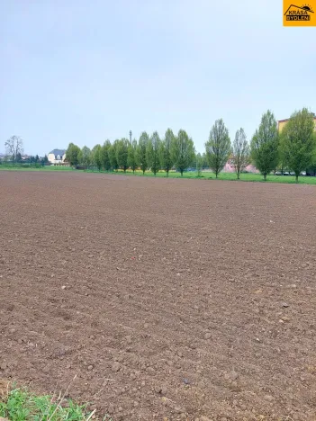 Prodej komerční nemovitosti, Uničov, 2771 m2