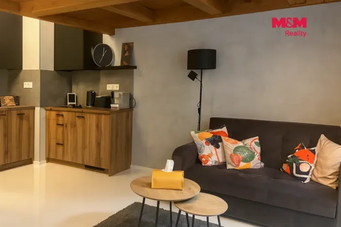 Pronájem bytu 1+kk, Praha - Vinohrady, Polská, 34 m2