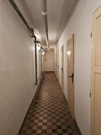 Pronájem bytu 1+1, Plzeň, Lazaretní, 45 m2