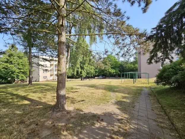 Pronájem bytu 1+1, Plzeň, Lazaretní, 45 m2