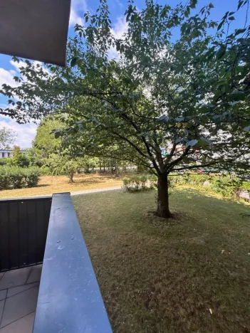 Pronájem bytu 3+1, Hradec Králové, Čajkovského, 84 m2