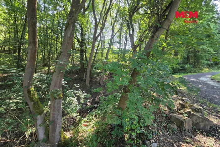Prodej pozemku, Šemnice, 20949 m2