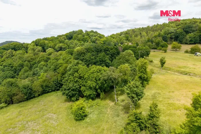 Prodej louky, Nosálov - Libovice, 13358 m2