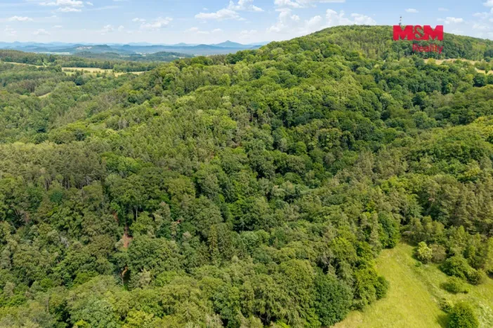 Prodej louky, Nosálov - Libovice, 13358 m2