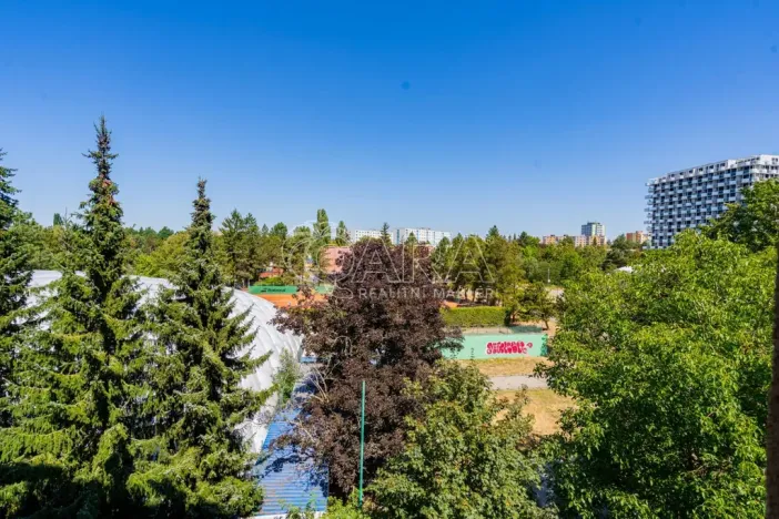 Prodej bytu 2+kk, Plzeň - Jižní Předměstí, U Borského parku, 52 m2