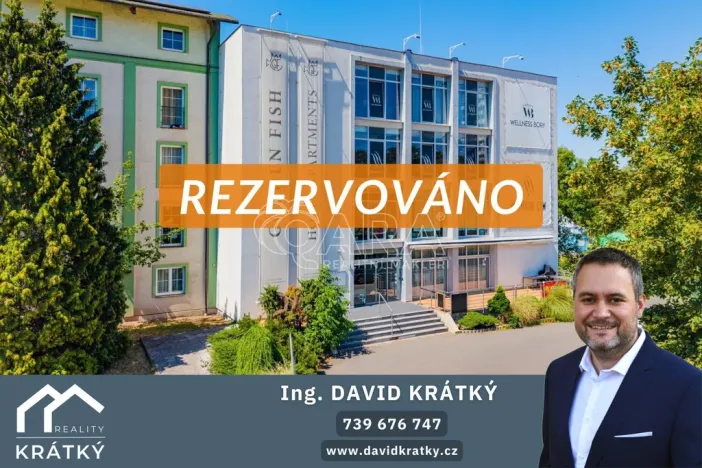 Prodej bytu 2+kk, Plzeň - Jižní Předměstí, U Borského parku, 52 m2