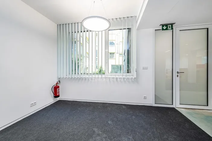 Pronájem obchodního prostoru, Praha - Žižkov, Jeseniova, 240 m2