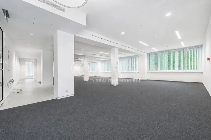 Pronájem obchodního prostoru, Praha - Žižkov, Jeseniova, 240 m2