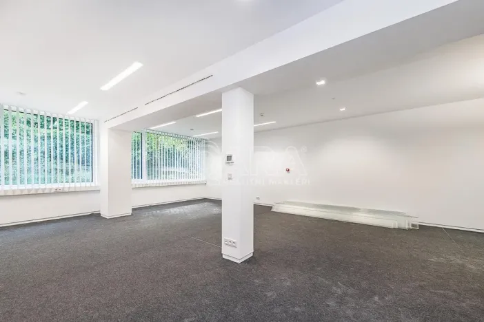 Pronájem obchodního prostoru, Praha - Žižkov, Jeseniova, 240 m2