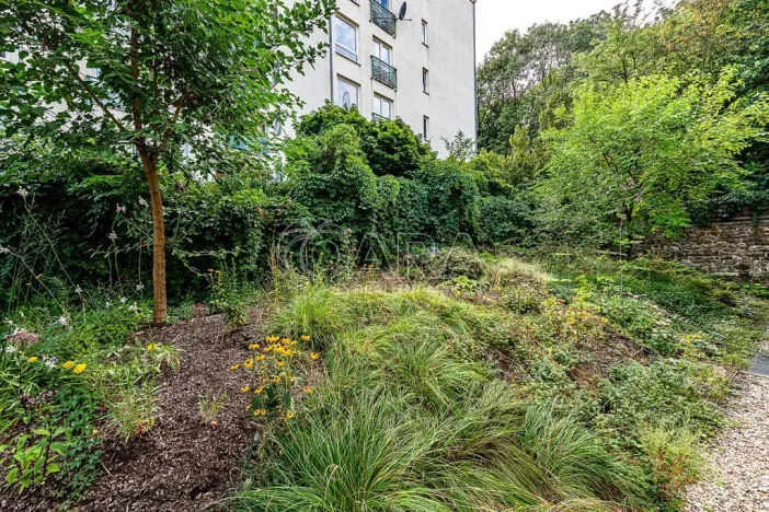 Pronájem obchodního prostoru, Praha - Žižkov, Jeseniova, 240 m2