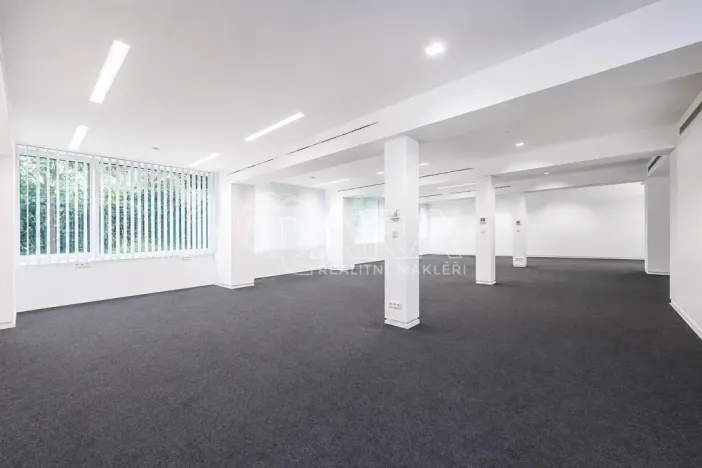 Pronájem obchodního prostoru, Praha - Žižkov, Jeseniova, 240 m2