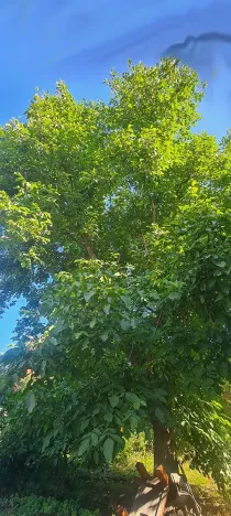 Prodej rodinného domu, Záboří nad Labem, 53 m2