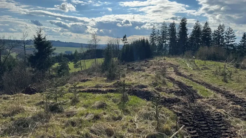Prodej lesa, Pecka, 35108 m2
