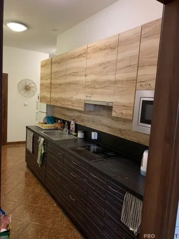 Pronájem pokoje, Ostrava - Moravská Ostrava, Nádražní, 25 m2