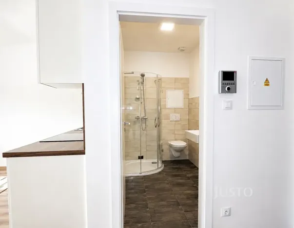 Pronájem bytu 1+kk, Písek, Žižkova třída, 30 m2