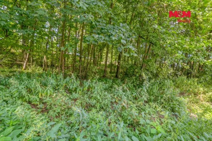 Prodej pozemku pro bydlení, Březová - Rudolec, 1858 m2