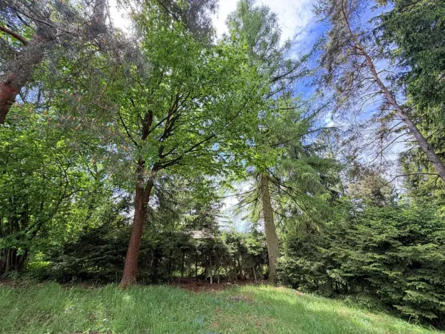 Prodej chaty, Borová, 53 m2