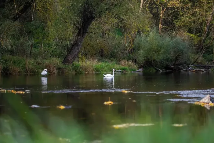 Prodej rodinného domu, Ivančice, 79 m2