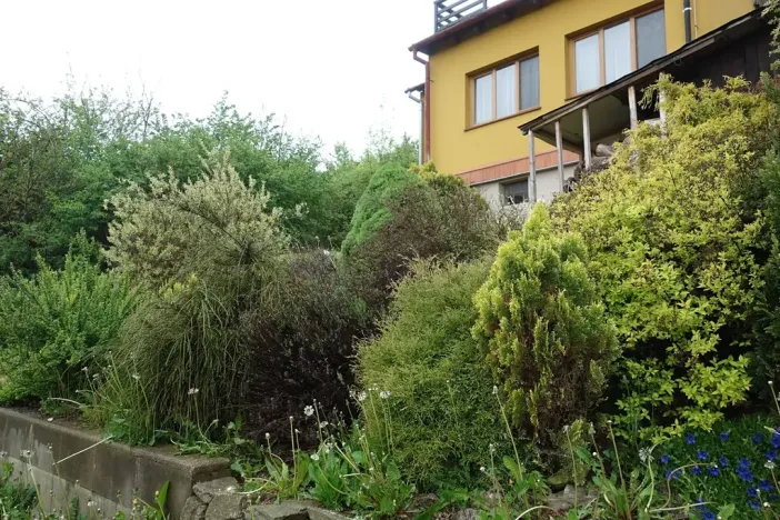 Prodej chaty, Nedvědice, 81 m2