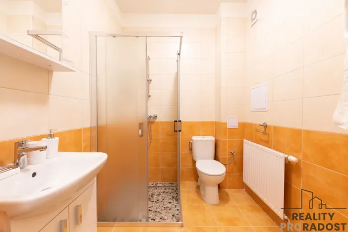 Pronájem bytu 1+kk, Ostrava - Polanka nad Odrou, Hraničky, 27 m2