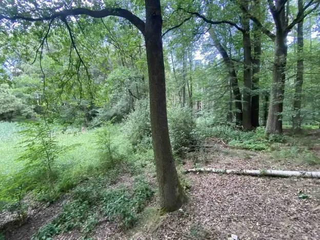 Prodej louky, Nové Hrady - Štiptoň, 4246 m2