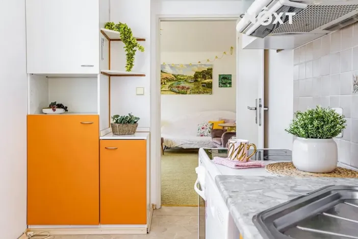 Prodej bytu 3+1, České Budějovice, Loucká, 58 m2