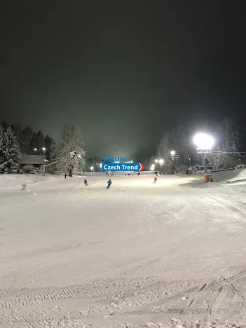Pronájem rodinného domu, Zlaté Hory, 170 m2