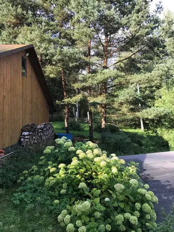 Prodej rodinného domu, Pila, 220 m2