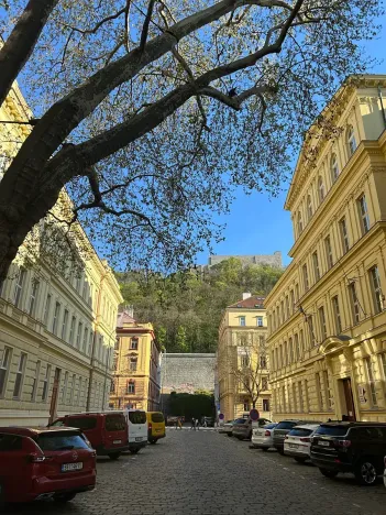 Prodej bytu 3+kk, Praha - Karlín, Pernerova, 81 m2