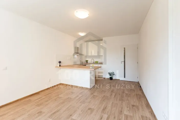 Pronájem bytu 1+kk, Hradec Králové, Selicharova, 30 m2