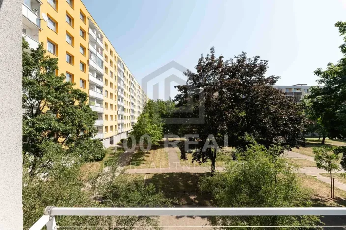 Pronájem bytu 1+kk, Hradec Králové, Selicharova, 30 m2