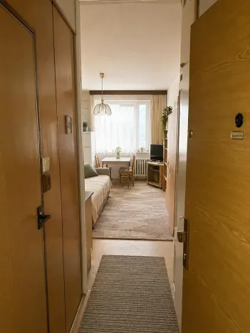 Prodej bytu 1+kk, Chodov, U Porcelánky, 24 m2