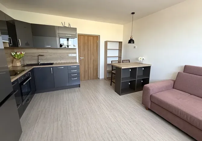 Pronájem bytu 2+kk, Brno, Letní, 56 m2